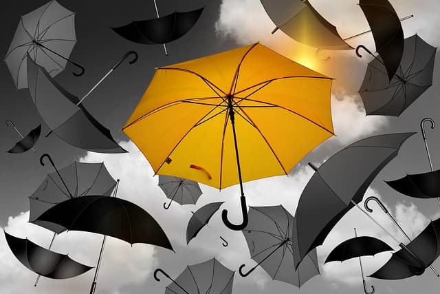 Forfaits mobiles et leurs options : tout ce qu'il faut savoir